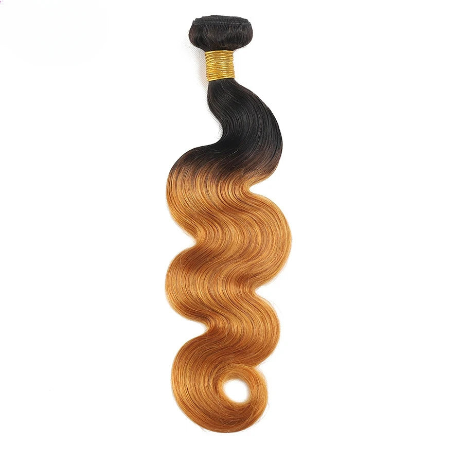 Ombre Colored Body Wave Human Hair Bundles Raw Indian Hair