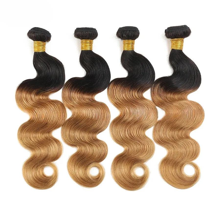 Ombre Colored Body Wave Human Hair Bundles Raw Indian Hair