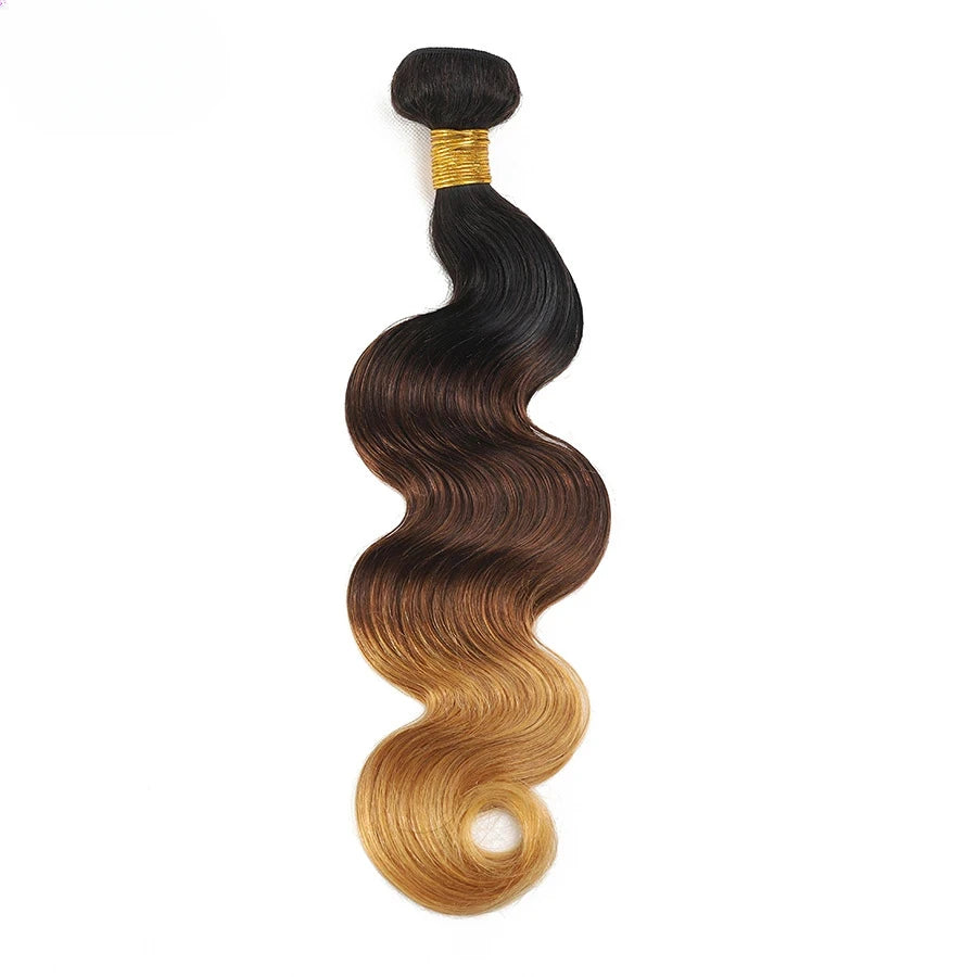 Ombre Colored Body Wave Human Hair Bundles Raw Indian Hair
