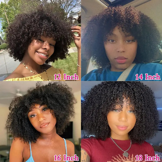 Afro Kinky Curly Human Hair Wig With Bangs