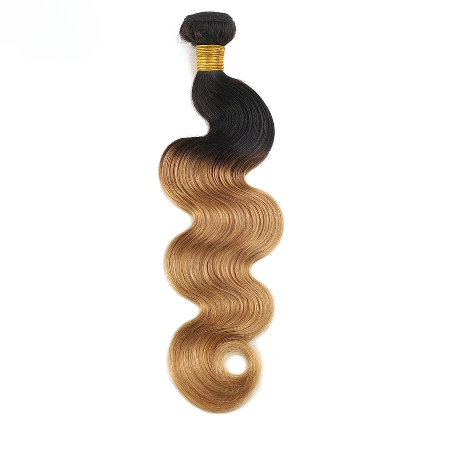 Ombre Colored Body Wave Human Hair Bundles Raw Indian Hair