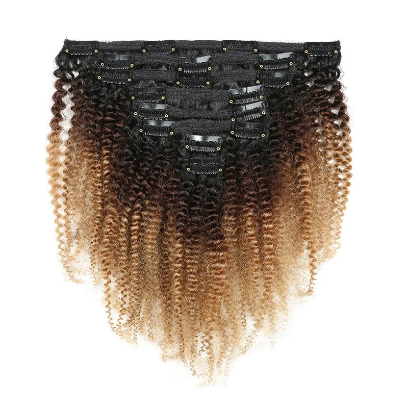 Afro Kinky Curly Clip In Human hair