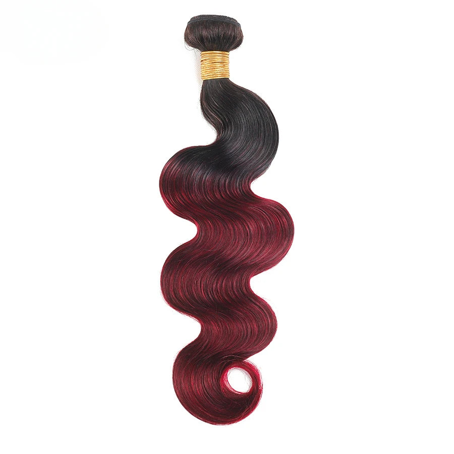 Ombre Colored Body Wave Human Hair Bundles Raw Indian Hair