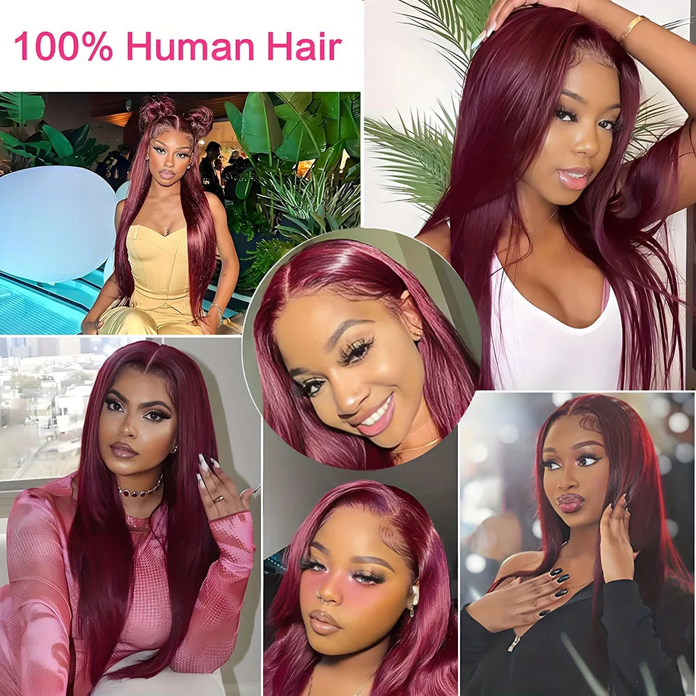 Burgundy  Straight Clip-In