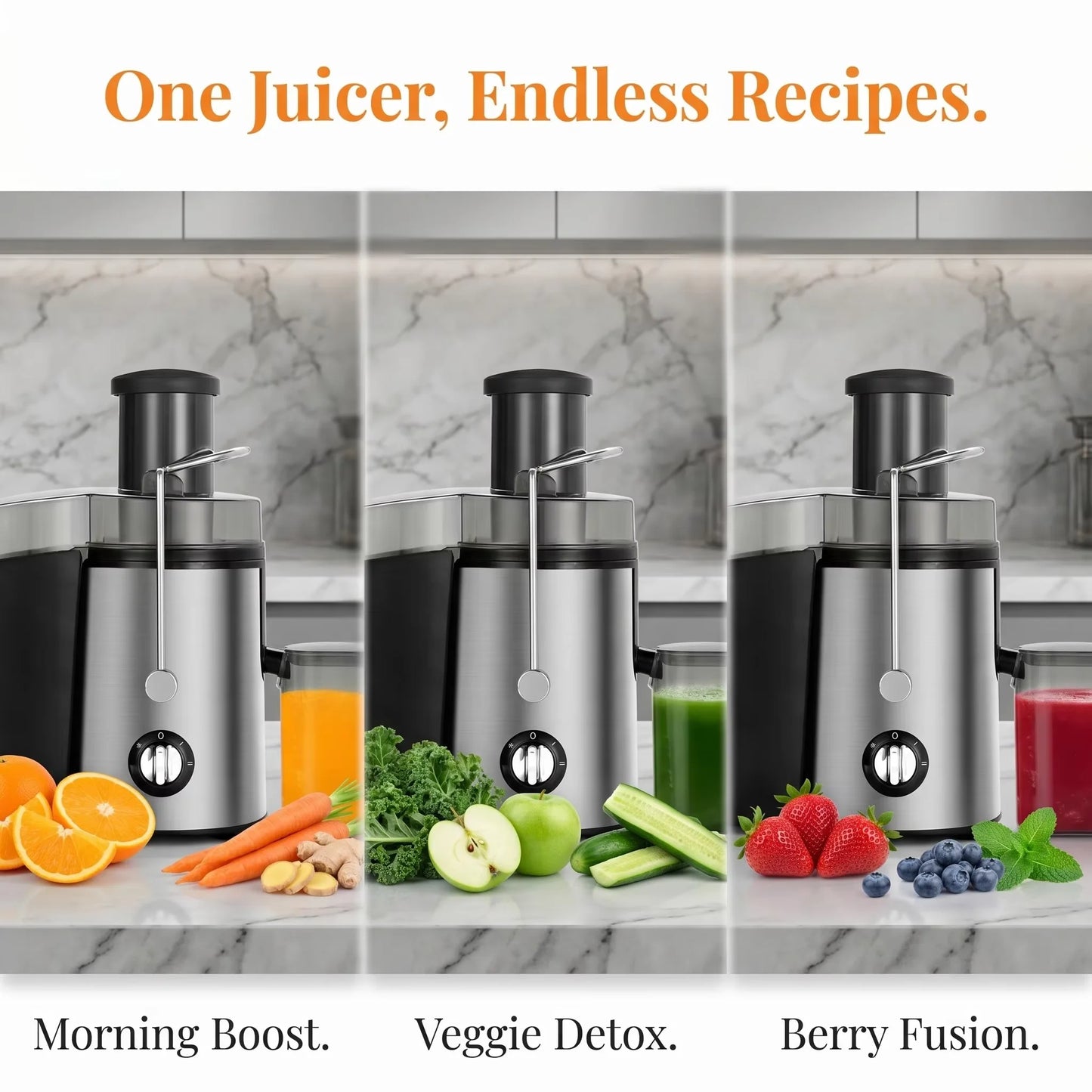 Stainless Steel Juicer