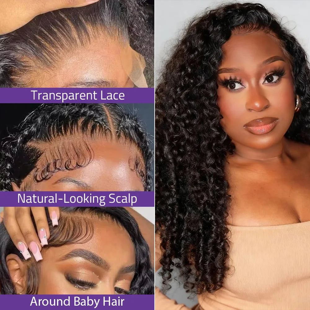 Burmese Curly