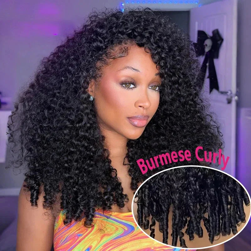 250% Wigs Human Hair Burmese