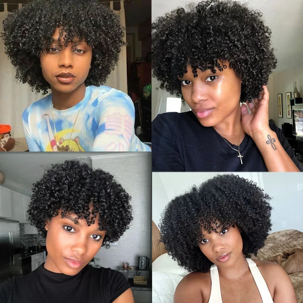 Afro Kinky Curly Human Hair Wig With Bangs